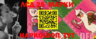 спиды Новокубанск