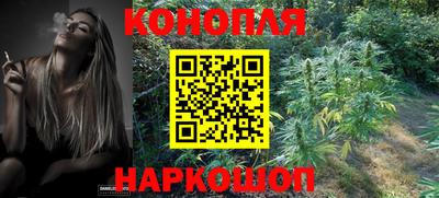 МДПВ Новозыбков