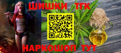 МДПВ Новозыбков