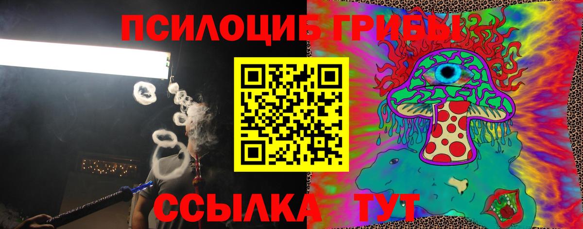 Галлюциногенные грибы Psilocybine cubensis Сыктывкар